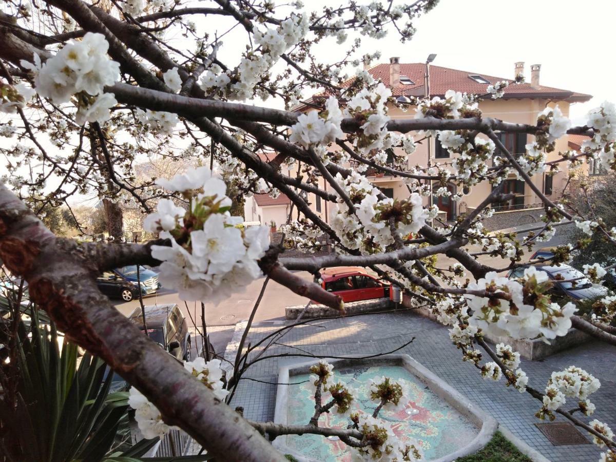 Holiday home Angolo Fiorito